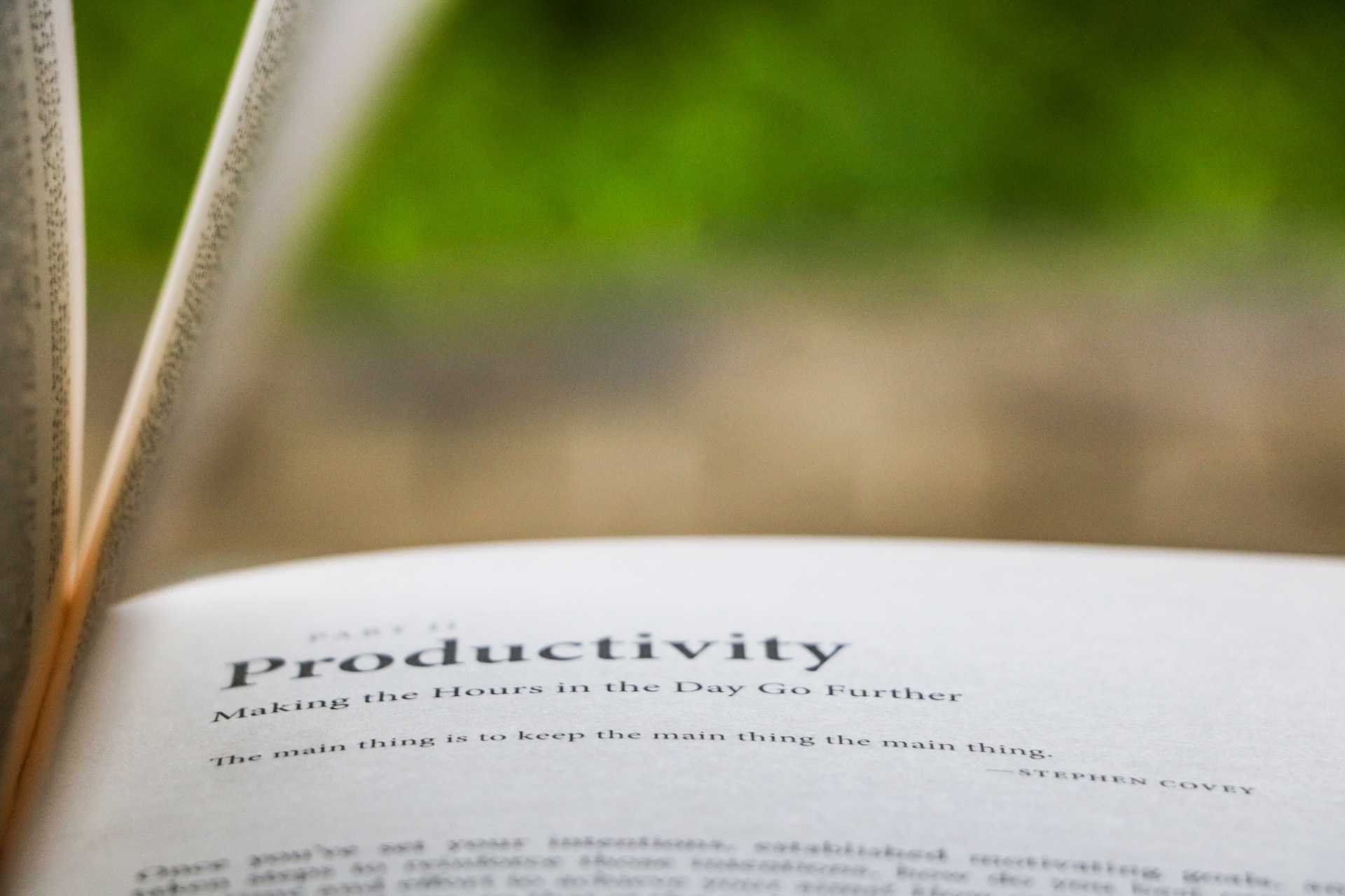 definicion de productividad en diccionario
