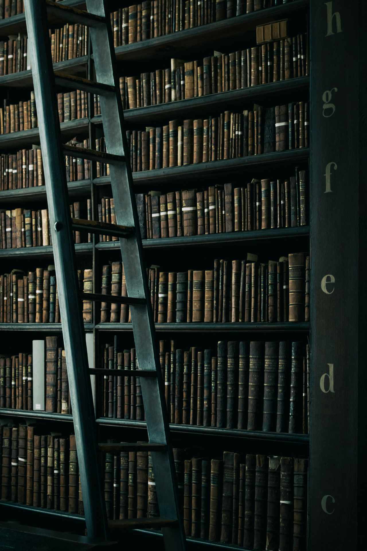 libreria-antigua-con-escalera