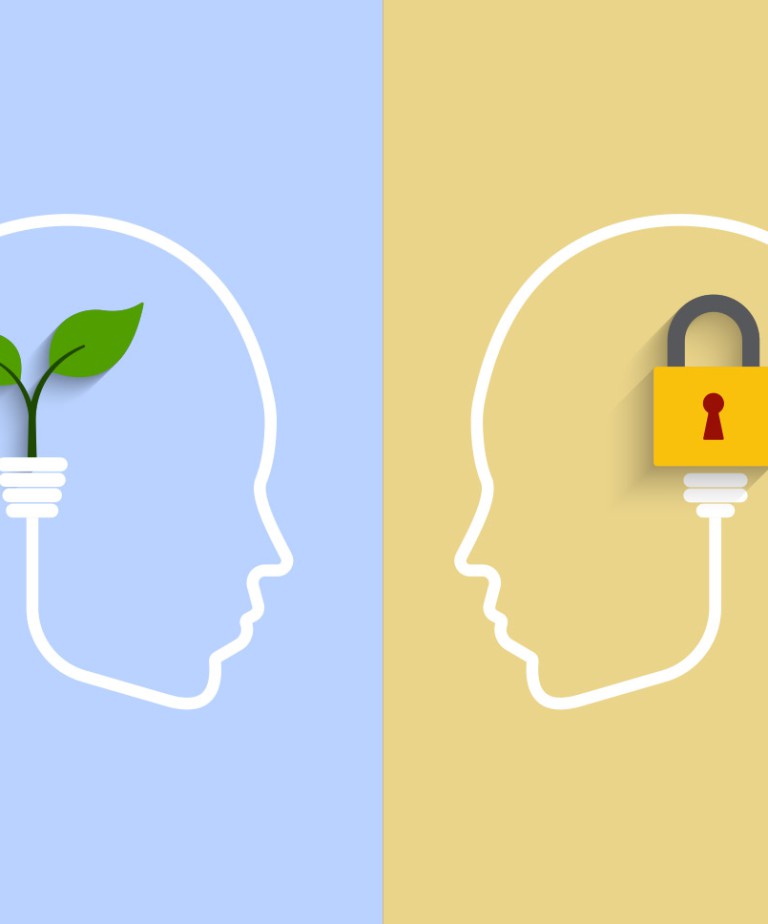 mentalidad de crecimiento